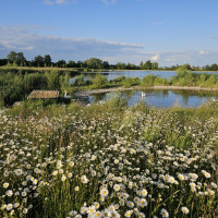 Rozkvetlé biocentrum Veklice
