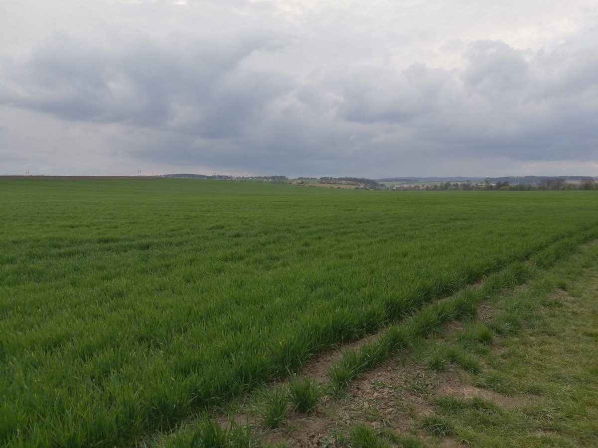 Stavba Biocentra Veklice