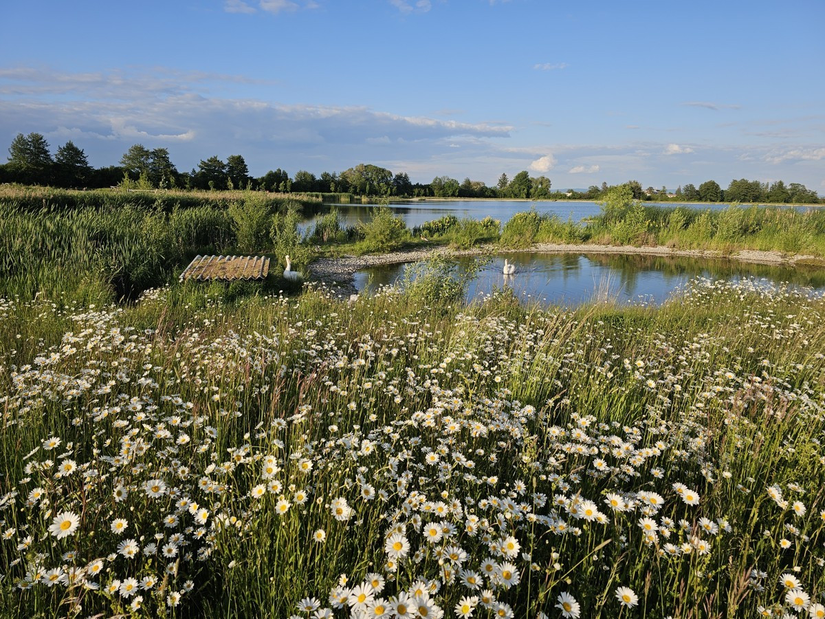 Biocentrum květe 2025