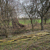 Brigáda březen 2026